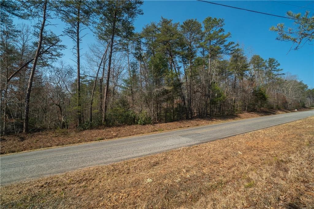 other for sale at 00 Jennys Cove Road, Cleveland, GA 30528 — photo 5