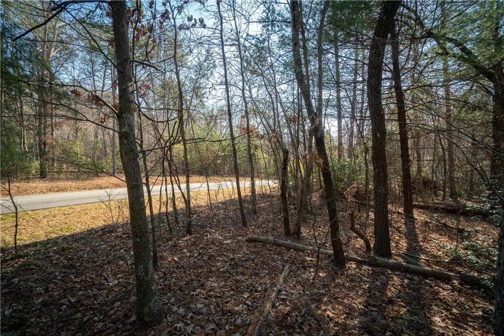 other for sale at 00 Jennys Cove Road, Cleveland, GA 30528 — photo 6