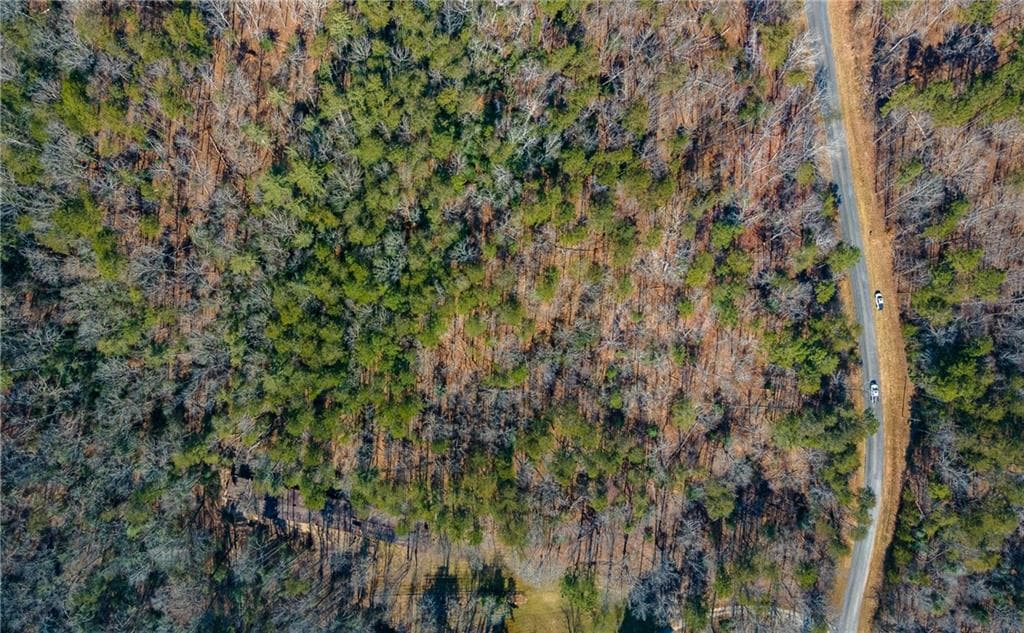 other for sale at 00 Jennys Cove Road, Cleveland, GA 30528 — photo 7
