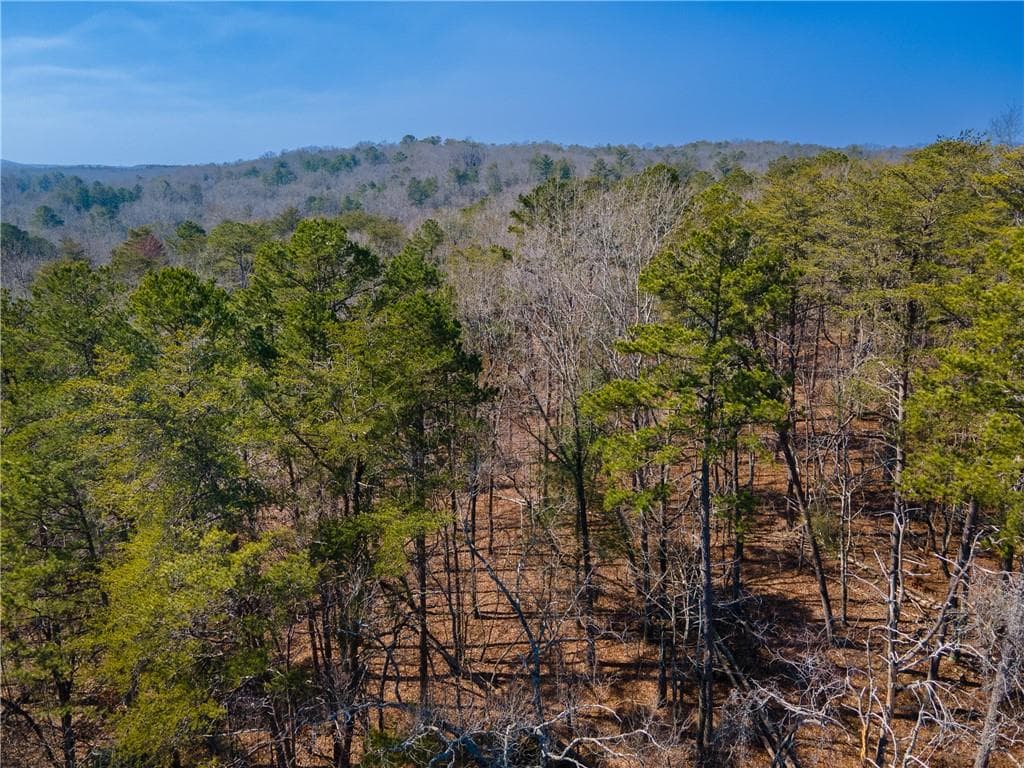 other for sale at 00 Jennys Cove Road, Cleveland, GA 30528 — photo 8