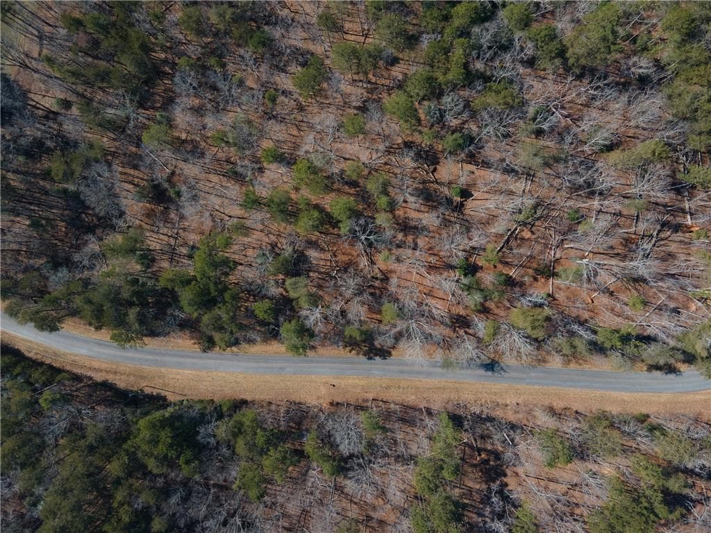 other for sale at 00 Jennys Cove Road, Cleveland, GA 30528 — photo 9
