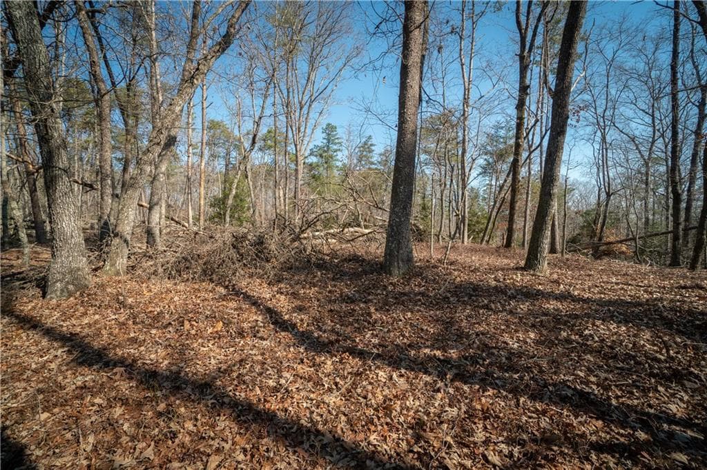 other for sale at 00 Jennys Cove Road, Cleveland, GA 30528 — photo 10