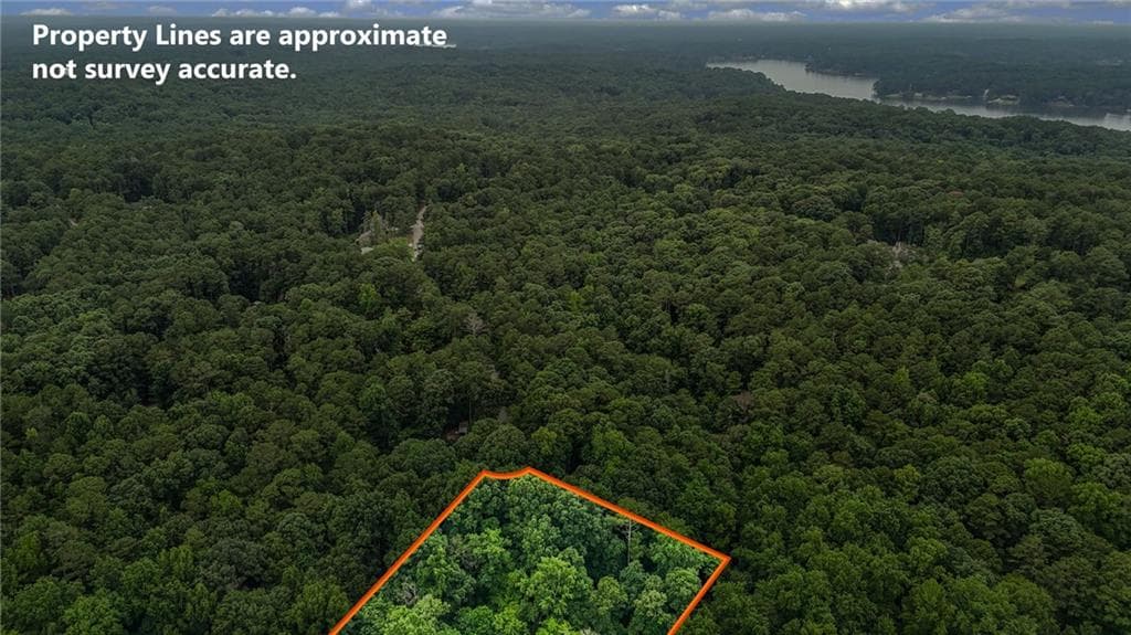unimproved land for sale at 0 Hummingbird Drive, Monticello, GA 31064 — photo 3