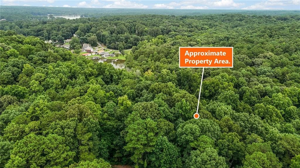 unimproved land for sale at 0 Hummingbird Drive, Monticello, GA 31064 — photo 7