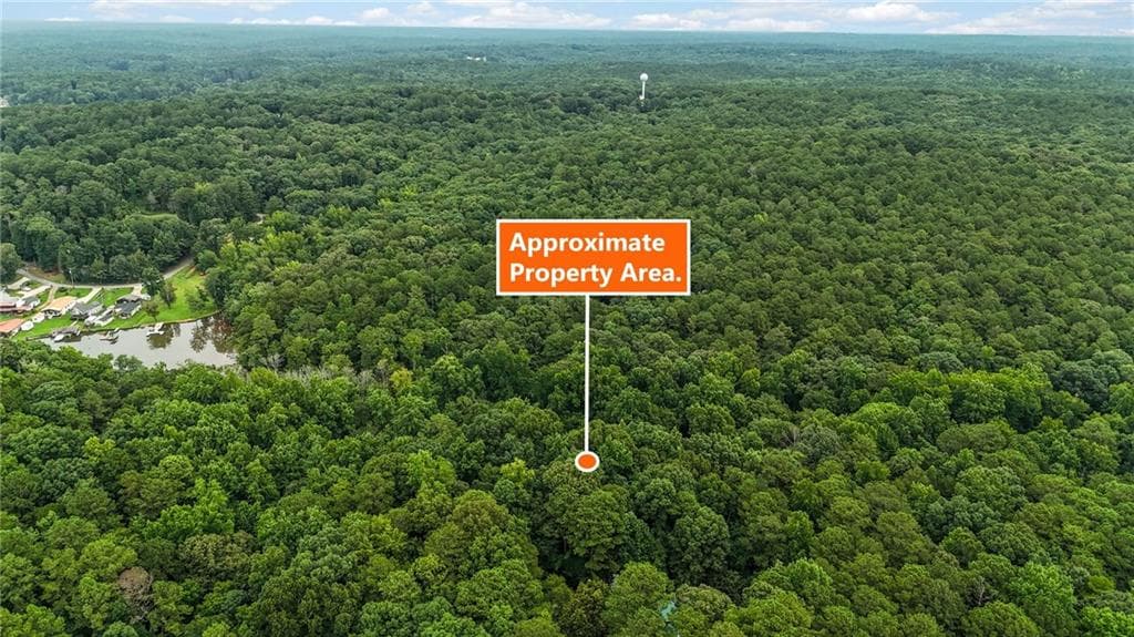 unimproved land for sale at 0 Hummingbird Drive, Monticello, GA 31064 — photo 8