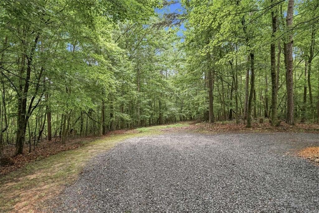 unimproved land for sale at LOT 58 Red Bud Lane, Ellijay, GA 30540 — photo 2