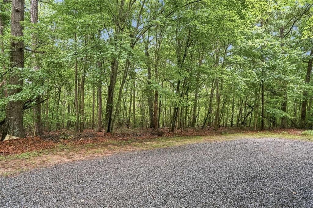 unimproved land for sale at LOT 58 Red Bud Lane, Ellijay, GA 30540 — photo 3