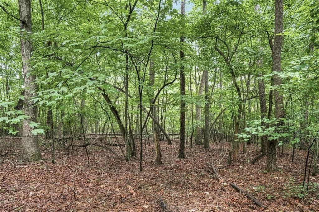 unimproved land for sale at LOT 58 Red Bud Lane, Ellijay, GA 30540 — photo 4