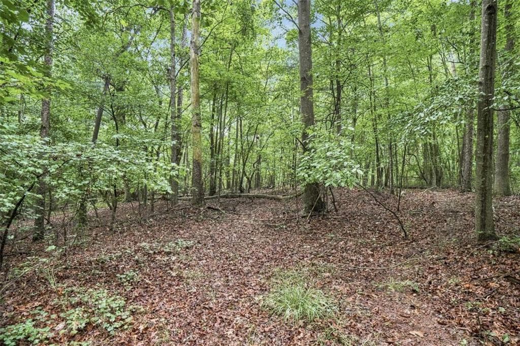 unimproved land for sale at LOT 58 Red Bud Lane, Ellijay, GA 30540 — photo 5
