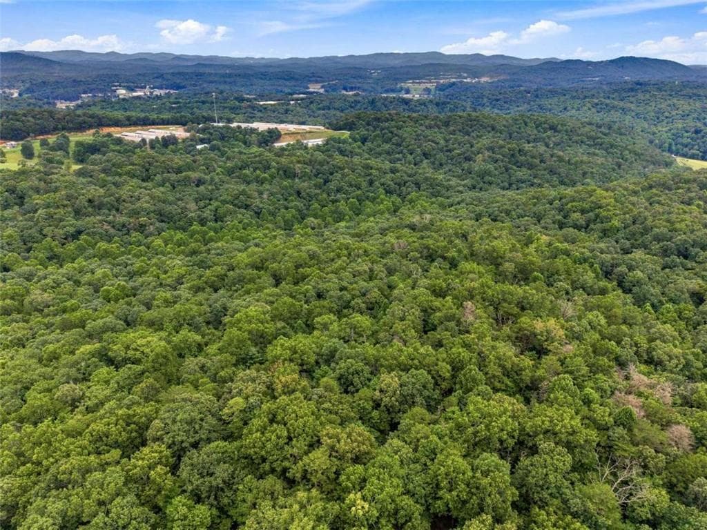 unimproved land for sale at LOT 58 Red Bud Lane, Ellijay, GA 30540 — photo 6