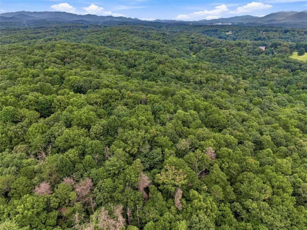 unimproved land for sale at LOT 58 Red Bud Lane, Ellijay, GA 30540 — photo 7