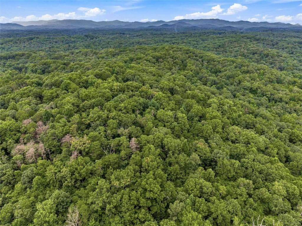 unimproved land for sale at LOT 58 Red Bud Lane, Ellijay, GA 30540 — photo 8