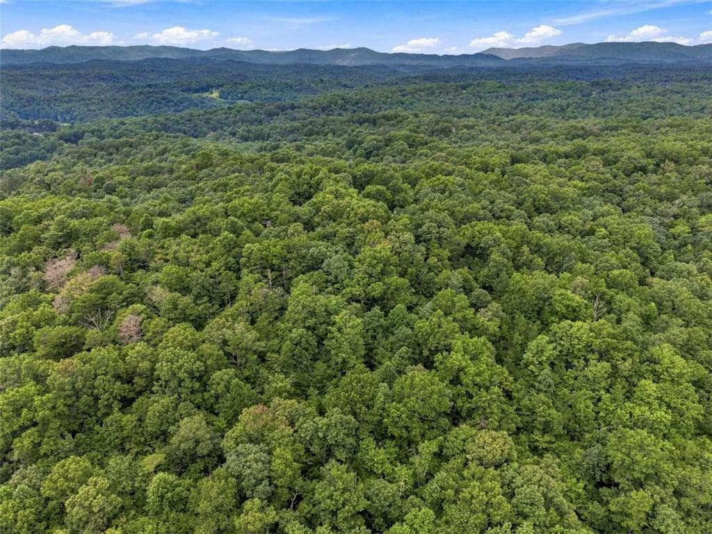 unimproved land for sale at LOT 58 Red Bud Lane, Ellijay, GA 30540 — photo 9