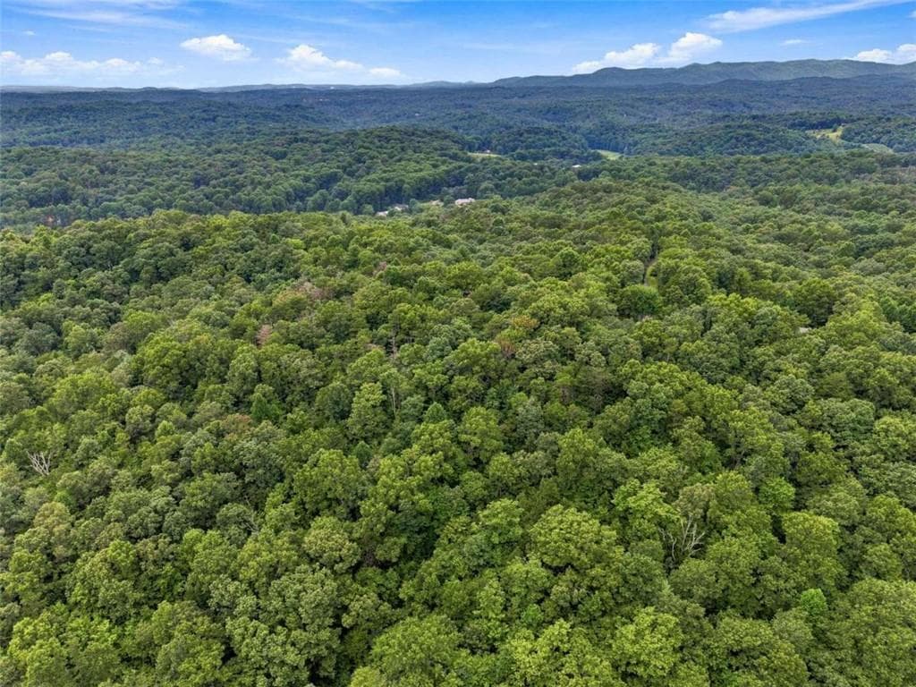 unimproved land for sale at LOT 58 Red Bud Lane, Ellijay, GA 30540 — photo 10