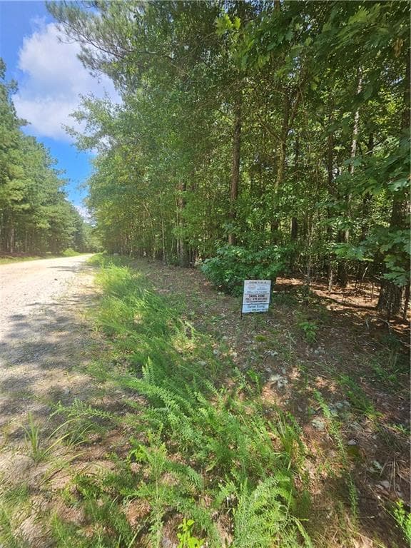 other for sale at 292 Mccannon Rd Tract 3, Carlton, GA 30627