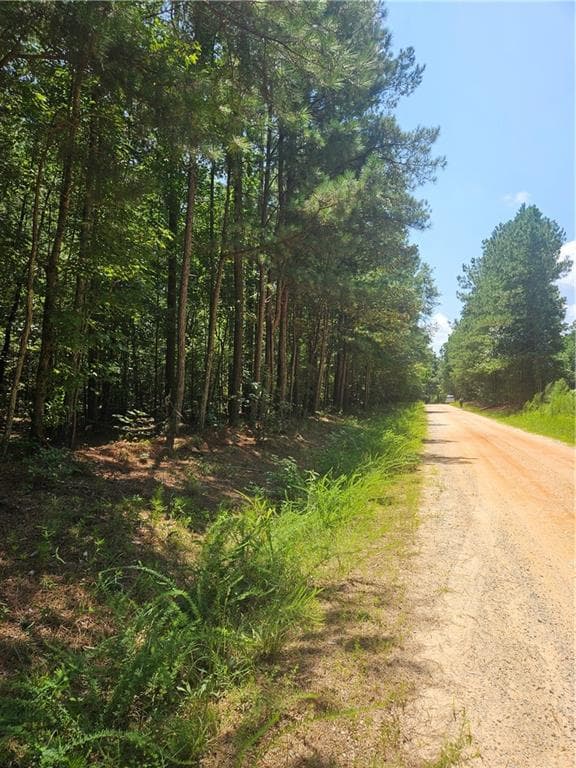 other for sale at 292 Mccannon Rd Tract 3, Carlton, GA 30627 — photo 2