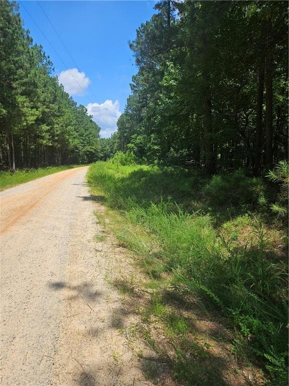 other for sale at 292 Mccannon Rd Tract 3, Carlton, GA 30627 — photo 3