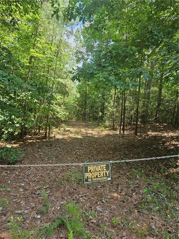 other for sale at 292 Mccannon Rd Tract 3, Carlton, GA 30627 — photo 4
