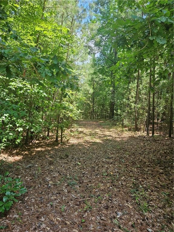 other for sale at 292 Mccannon Rd Tract 3, Carlton, GA 30627 — photo 5