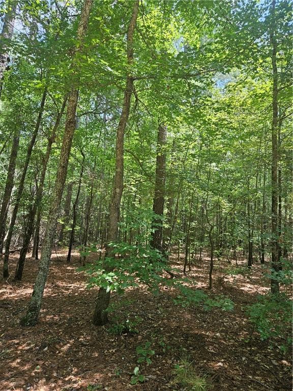 other for sale at 292 Mccannon Rd Tract 3, Carlton, GA 30627 — photo 6