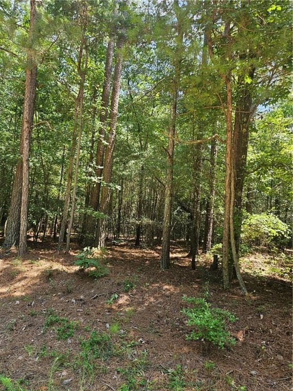 other for sale at 292 Mccannon Rd Tract 3, Carlton, GA 30627 — photo 7
