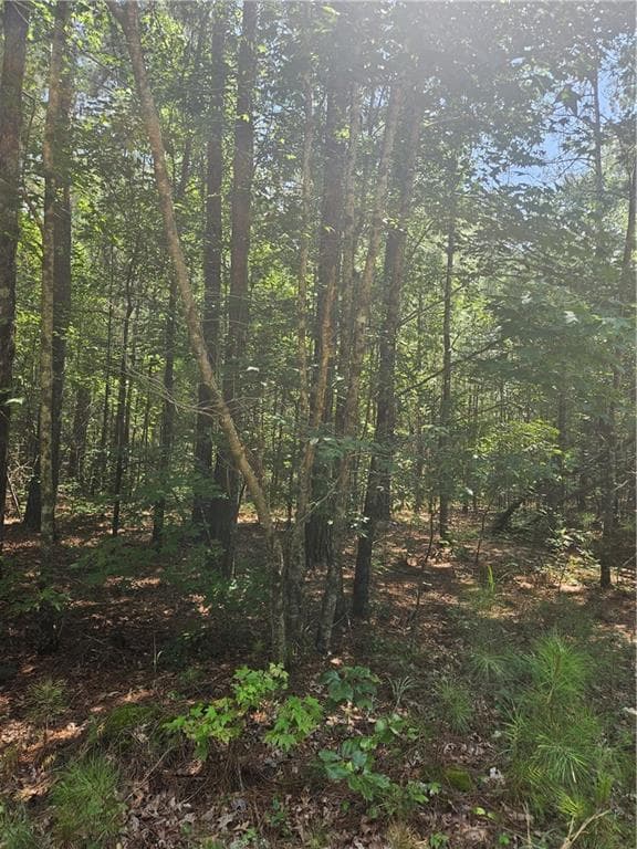 other for sale at 292 Mccannon Rd Tract 3, Carlton, GA 30627 — photo 8