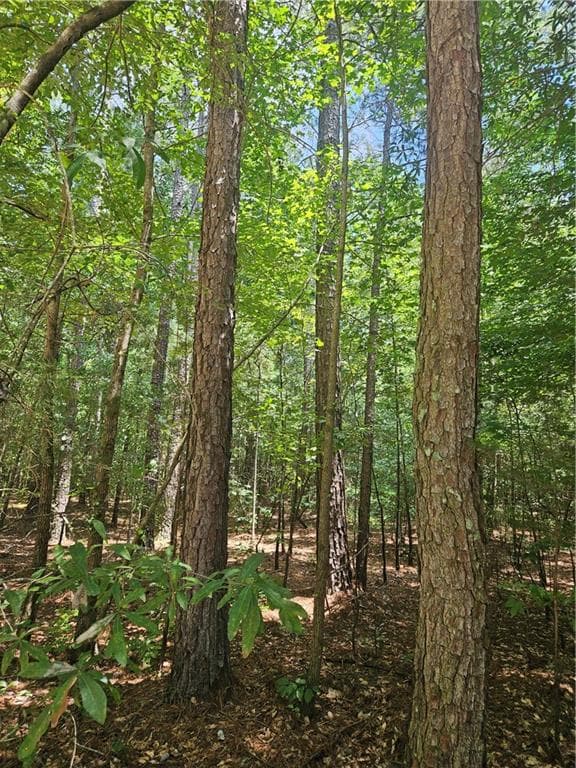 other for sale at 292 Mccannon Rd Tract 3, Carlton, GA 30627 — photo 9