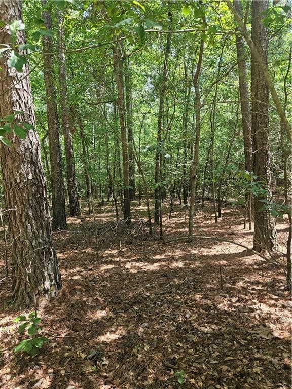 other for sale at 292 Mccannon Rd Tract 3, Carlton, GA 30627 — photo 10