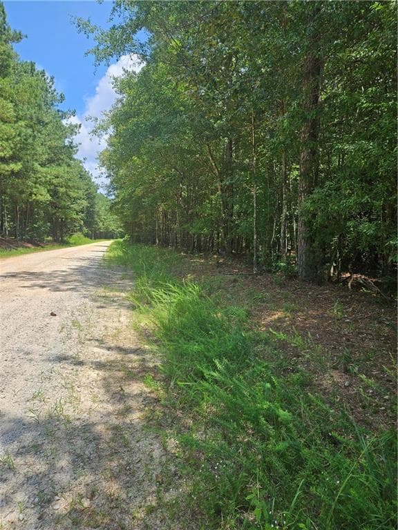 unimproved land for sale at 292 Mccannon Tract 3A, Carlton, GA 30627