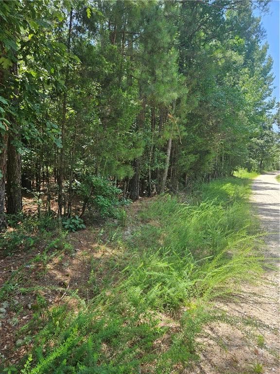 unimproved land for sale at 292 Mccannon Tract 3A, Carlton, GA 30627 — photo 2