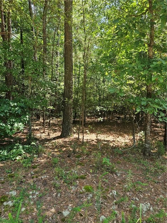 unimproved land for sale at 292 Mccannon Tract 3A, Carlton, GA 30627 — photo 3
