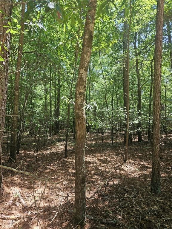 unimproved land for sale at 292 Mccannon Tract 3A, Carlton, GA 30627 — photo 4