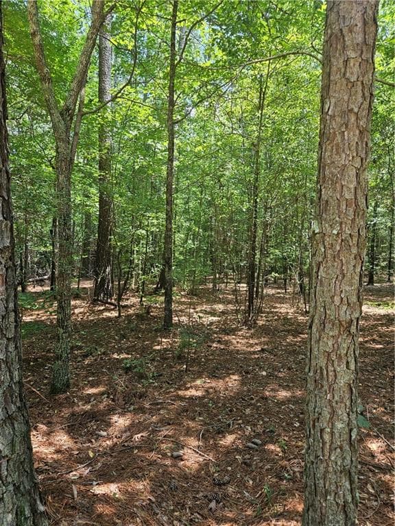 unimproved land for sale at 292 Mccannon Tract 3A, Carlton, GA 30627 — photo 5