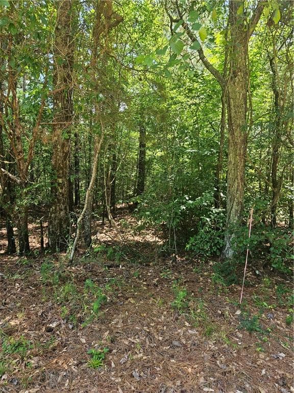 unimproved land for sale at 292 Mccannon Tract 3A, Carlton, GA 30627 — photo 6