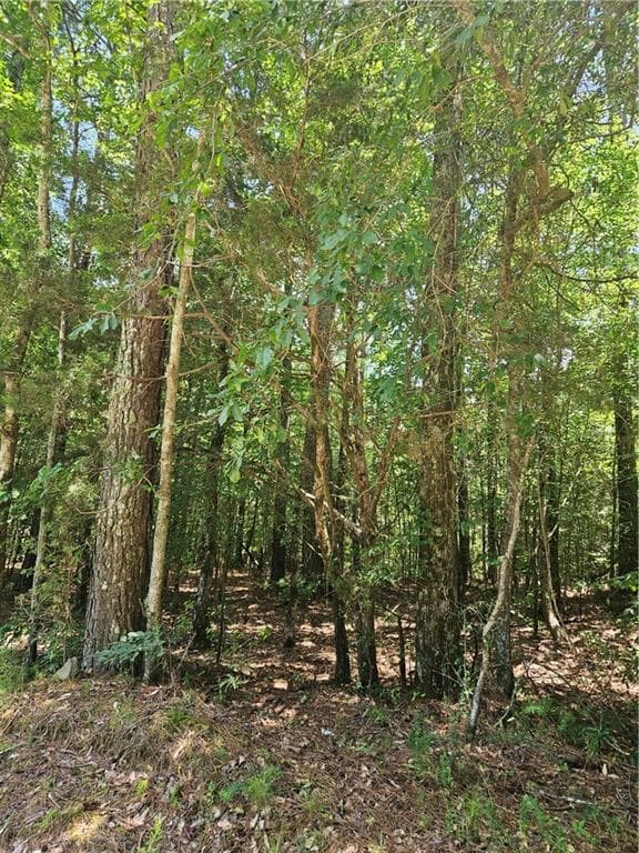 unimproved land for sale at 292 Mccannon Tract 3A, Carlton, GA 30627 — photo 7