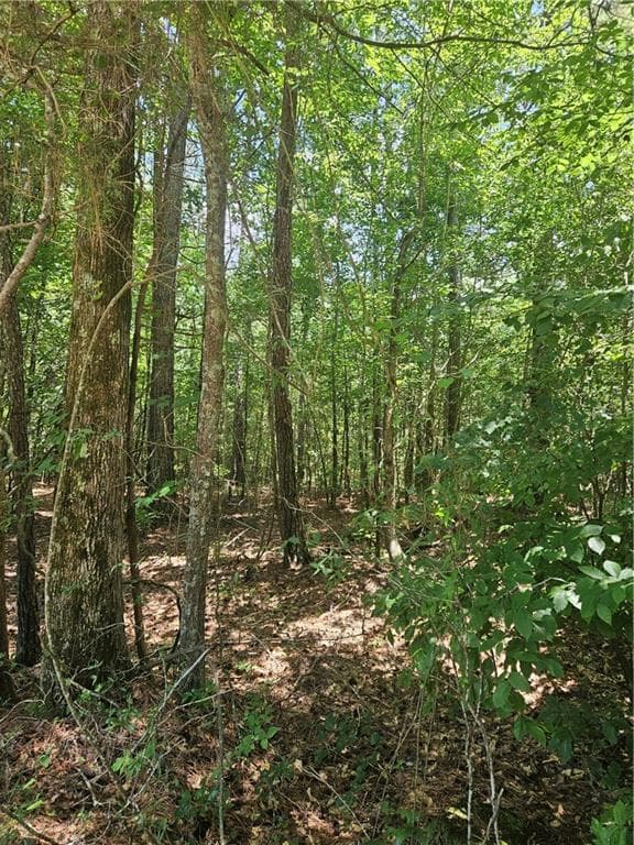 unimproved land for sale at 292 Mccannon Tract 3A, Carlton, GA 30627 — photo 8