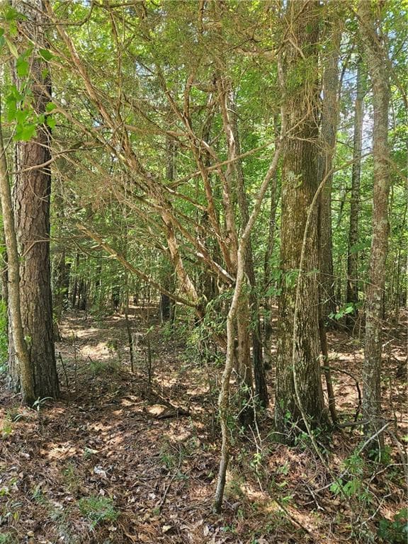 unimproved land for sale at 292 Mccannon Tract 3A, Carlton, GA 30627 — photo 9