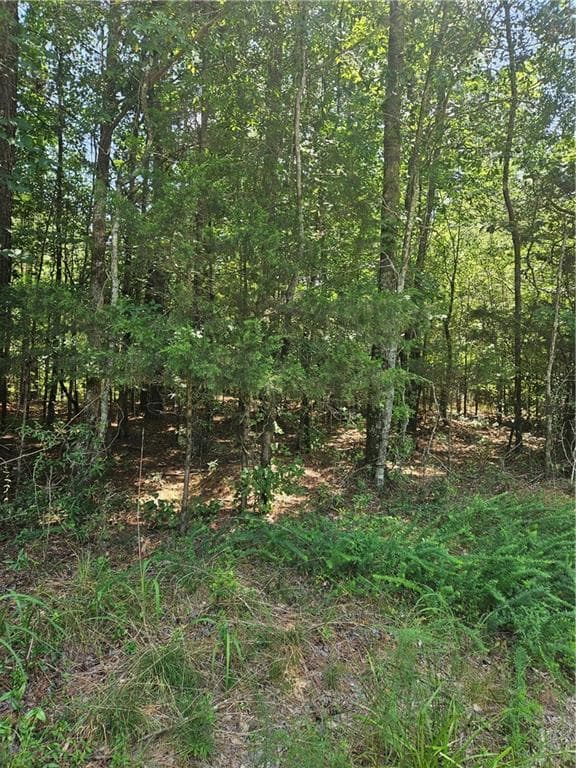 unimproved land for sale at 292 Mccannon Tract 3A, Carlton, GA 30627 — photo 10