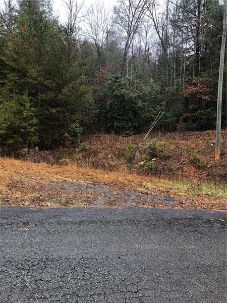 unimproved land for sale at 0 Flagpole Road, Ellijay, GA 30540 — photo 1 of 4