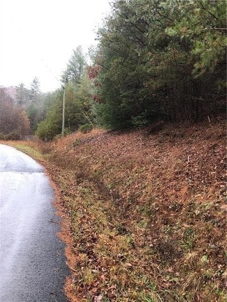 unimproved land for sale at 0 Flagpole Road, Ellijay, GA 30540 — photo 3