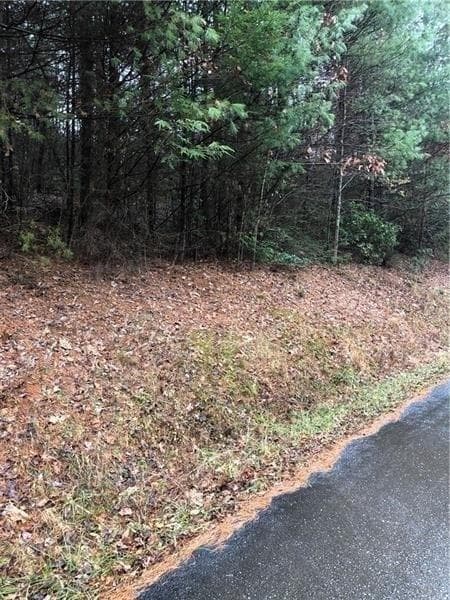 other for sale at 00 Flag Pole Circle, Ellijay, GA 30540 — photo 2
