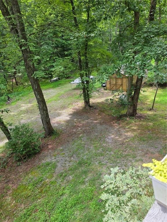 2 bedroom, 2 bathroom, 1,950 sq ft single family residence under contract at 49 Deer Trail, Mineral Bluff, GA 30559 — photo 4
