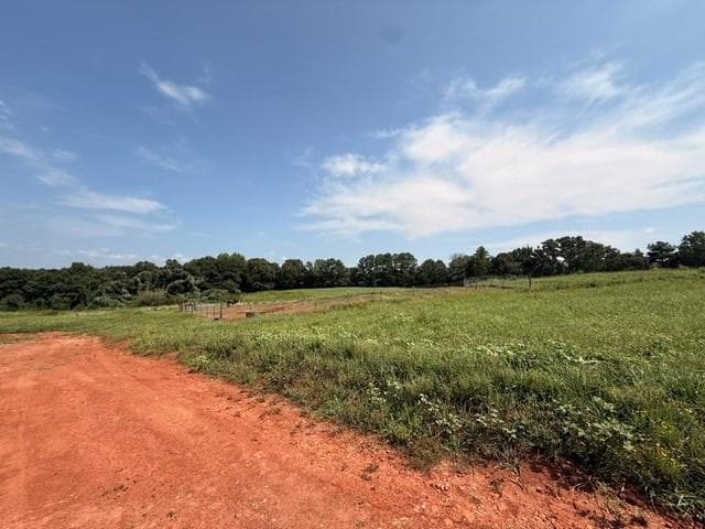 unimproved land for sale at 000 Rainey Road, Temple, GA 30179 — photo 8