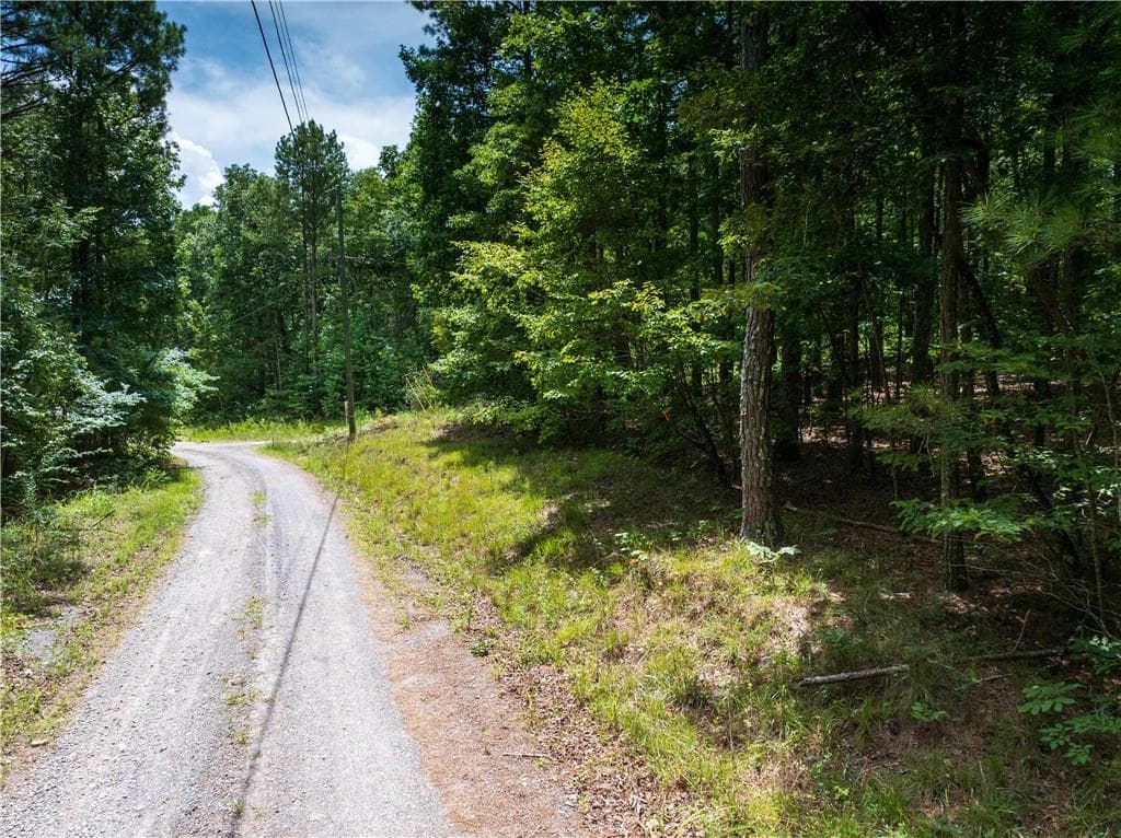 unimproved land for sale at 0 Dublin Circle, Rome, GA 30145 — photo 7