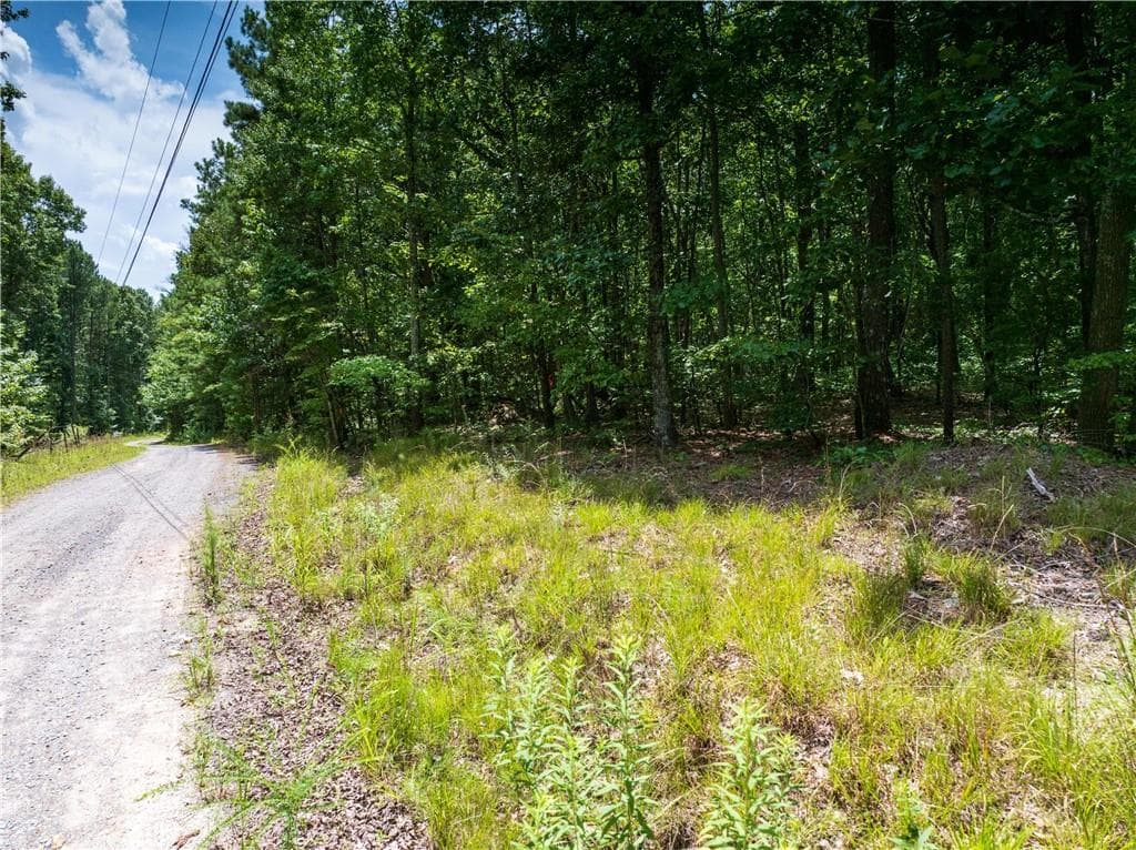 unimproved land for sale at 0 Dublin Circle, Rome, GA 30145 — photo 8