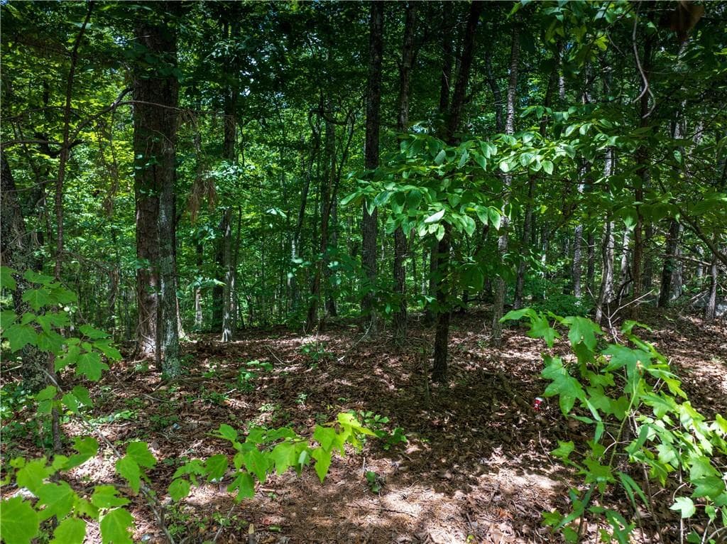 unimproved land for sale at 0 Dublin Circle, Rome, GA 30145 — photo 9