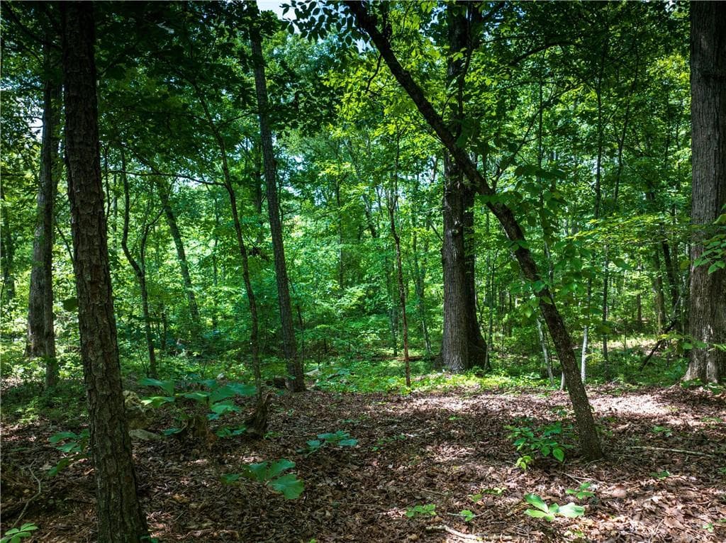 unimproved land for sale at 0 Dublin Circle, Rome, GA 30145 — photo 10