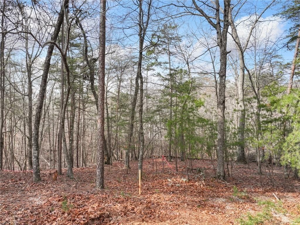 single family residence for sale at Lot 20 Crown Mountain Way, Dahlonega, GA 30533 — photo 5