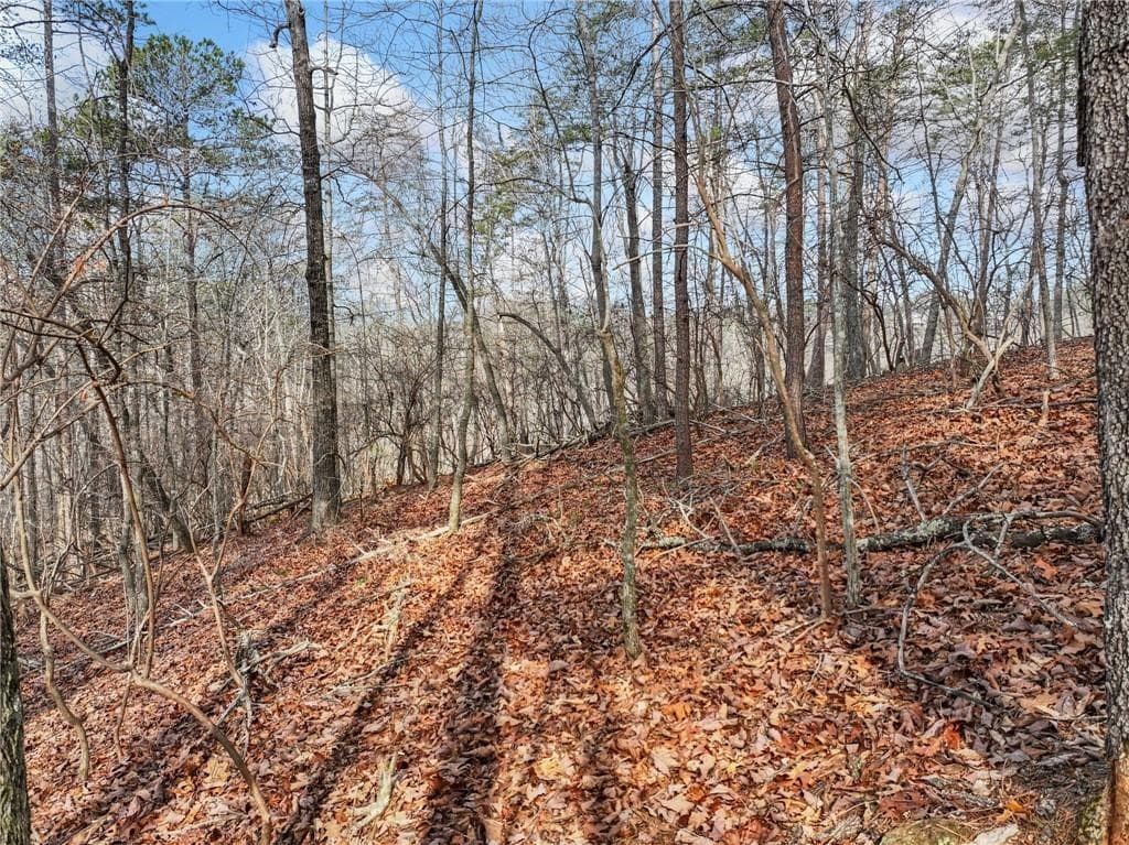 single family residence for sale at Lot 20 Crown Mountain Way, Dahlonega, GA 30533 — photo 7