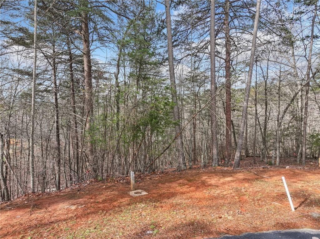 single family residence for sale at Lot 20 Crown Mountain Way, Dahlonega, GA 30533 — photo 8